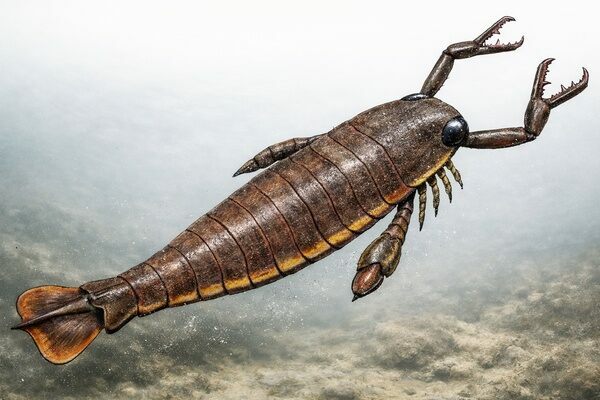 Jaekelopterus rhenaniae reconstruction — one of the largest sea scorpions ever known, prowling ancient waters with formidable pincers.